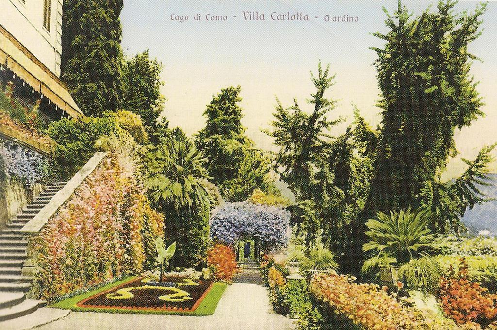 Victoria Hotels Carso Camnago Volta 외부 사진